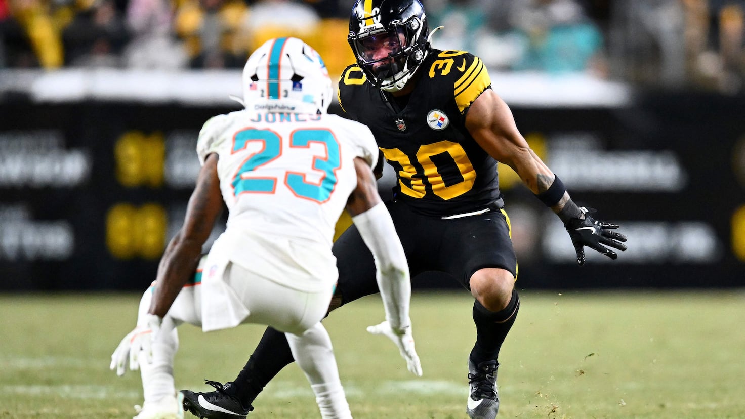 Dolphins vs Steelers live online: stats, score and highlights | NFL Week 15