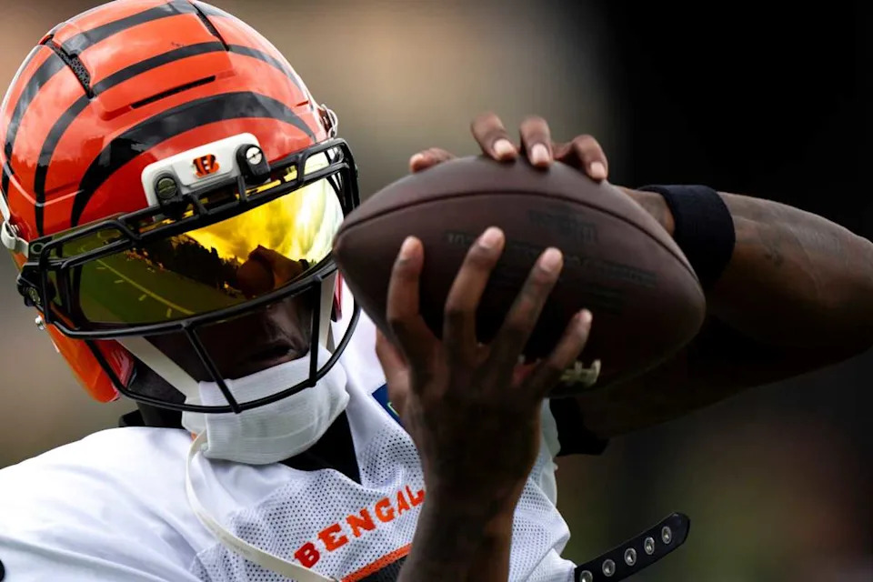 Cincinnati Bengals wide receiver Tee Higgins (5) Credit: Albert Cesare/The Enquirer / USA TODAY NETWORK