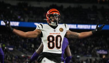 Here's updated NFL playoff picture, with Bengals 12th in AFC standings