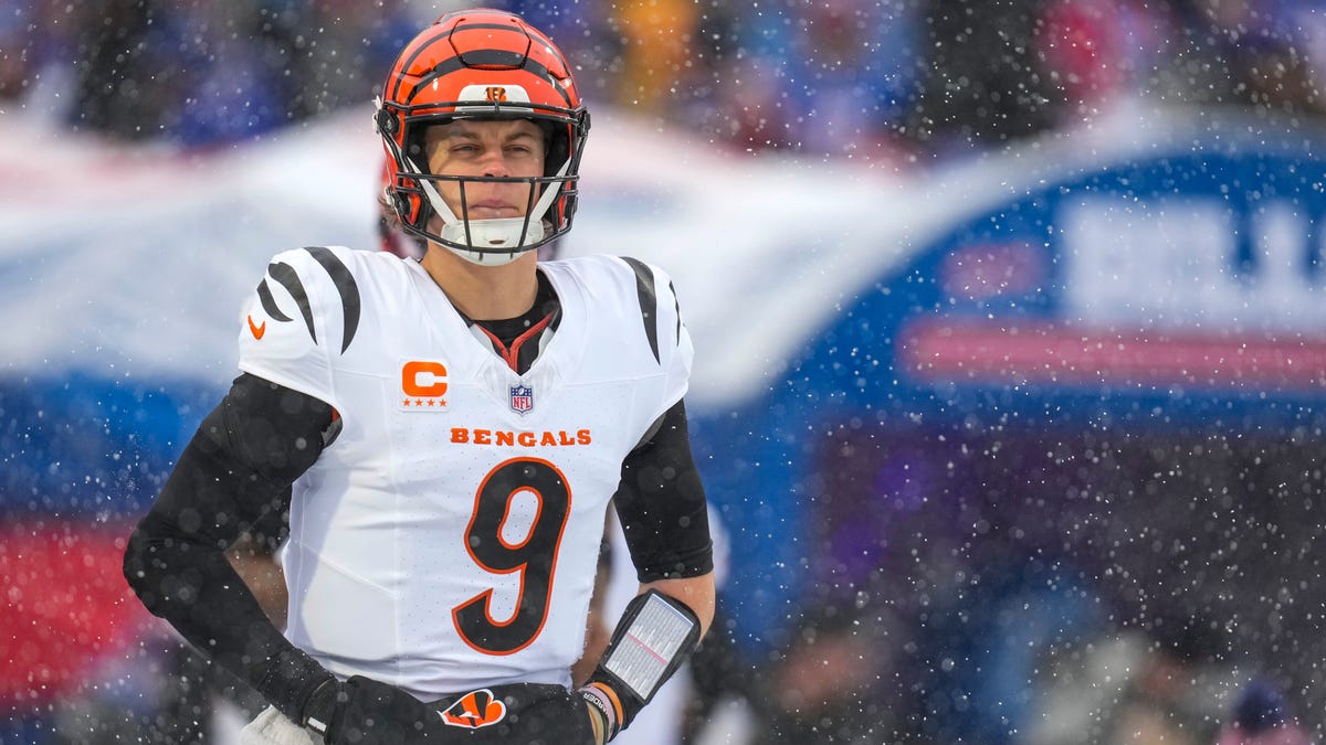 Yes, Bengals can still make playoffs (or get eliminated this weekend)