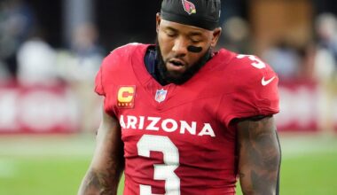 Arizona Cardinals Week 14 defensive, special teams snap counts