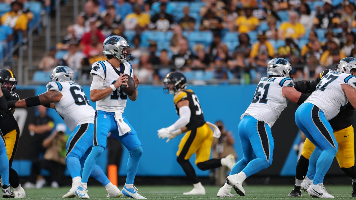 2 former Panthers QBs work out for Steelers on Tuesday