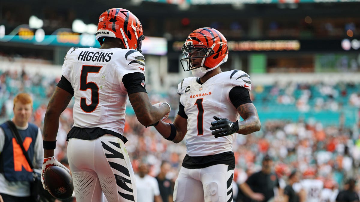 Turnover battle keys Bengals win against Dolphins