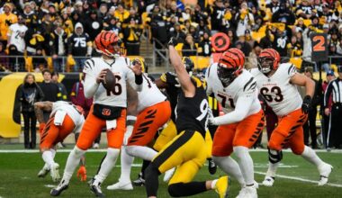 Bengals vs. Cardinals odds, tips and betting trends