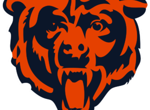 Bears Considering Move to NW Indiana – WRBI Radio