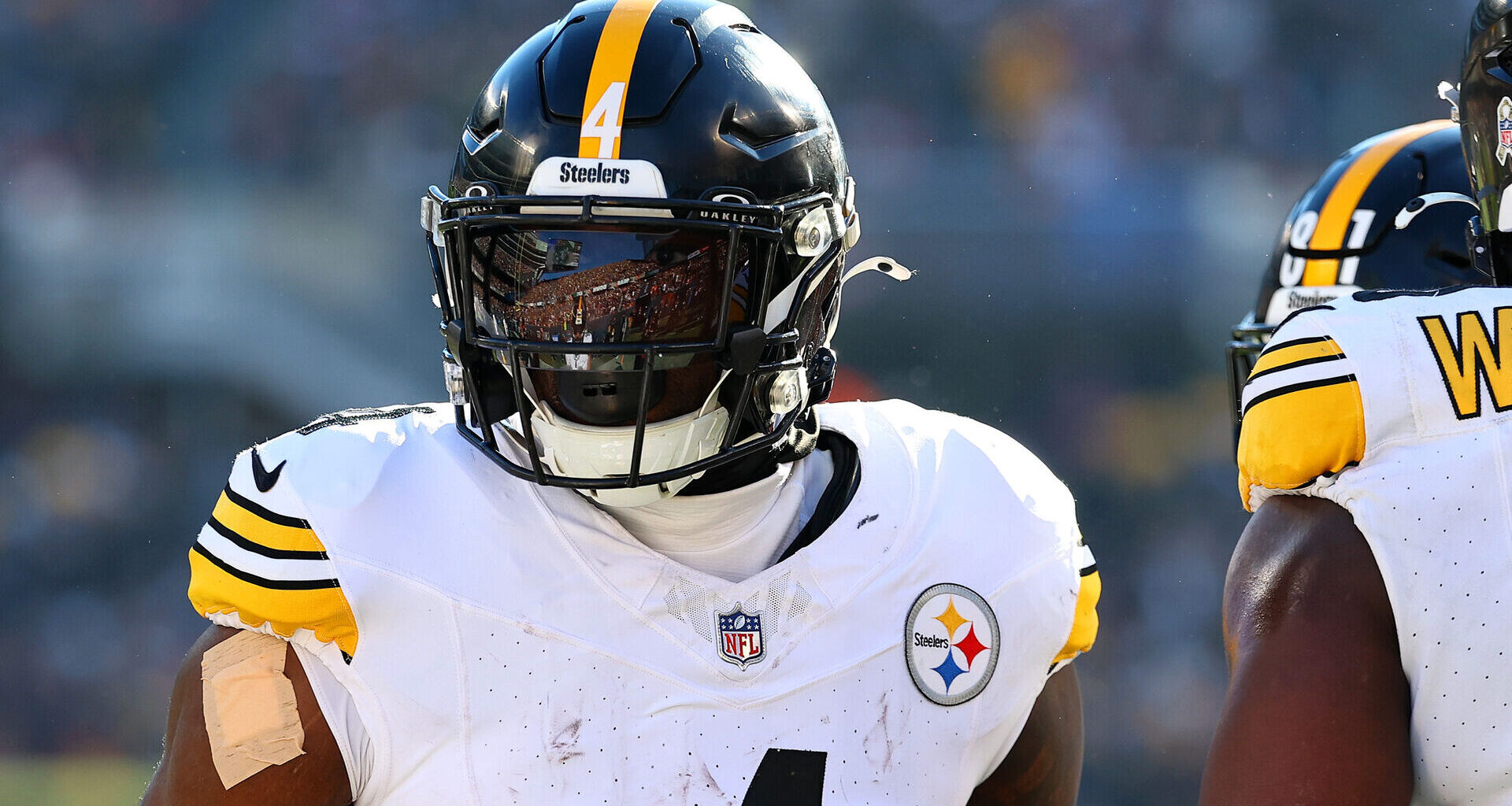 Steelers' DK Metcalf Caught On Camera Swiping At Lions Fan