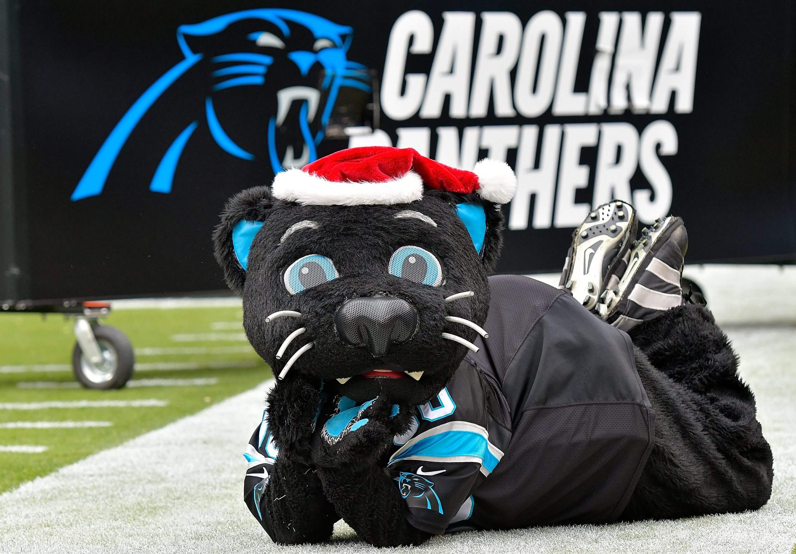 Sir Purr, the Panthers mascot, wears a Santa hat and lays down on the field.