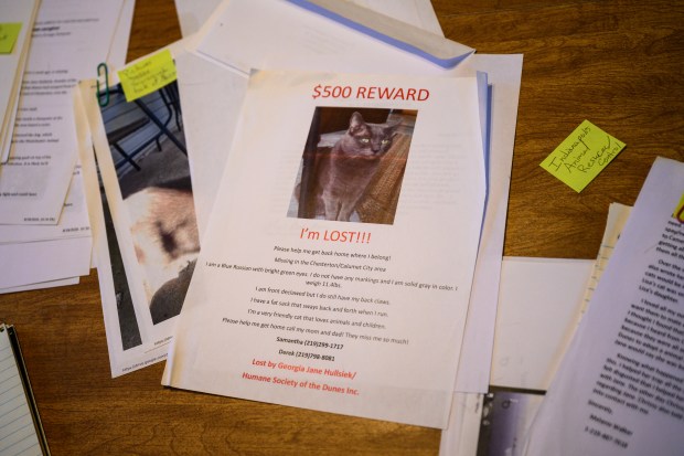 A "lost" sign for cat Mozzes sits among other documents at Portage resident Samantha Radakovich's home on Wednesday, April 30, 2025. (Kyle Telechan/for the Post-Tribune)