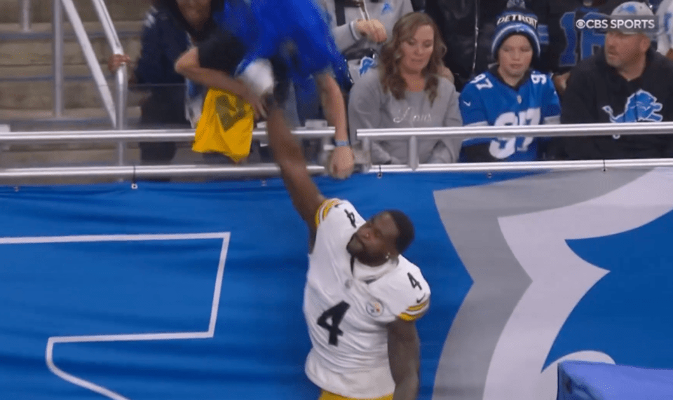 Metcalf swung on a fan during the Lions-Steelers game