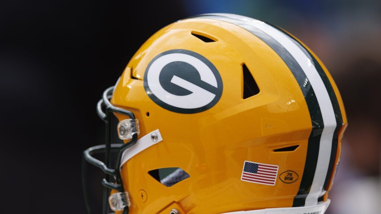 Packers Players Draw NFL Punishment After Bears Game Actions