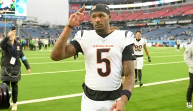 Tee Higgins injury update from Bengals is promising news for fantasy football playoffs image