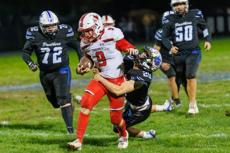 2025 OBSERVER/Post-Journal Football Defensive All-Stars | News, Sports, Jobs