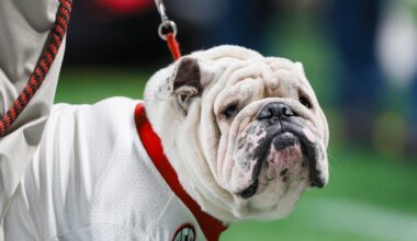 Georgia football cancels future home-and-homes against Louisville, NC State