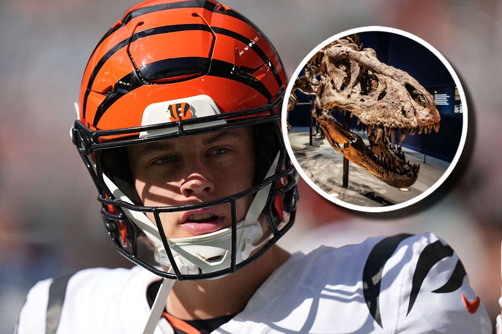 Joe Burrow Gifted His Linemen Fossils For Christmas