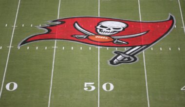Tampa Bay Buccaneers Fan Survey: Week 14