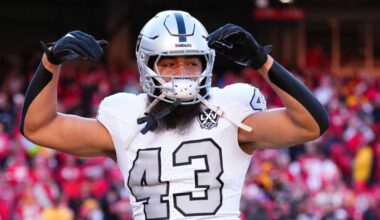 Steelers roster news: PIT adds former Raiders LB