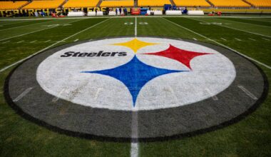Pittsburgh Steelers Fan Survey: Week 14