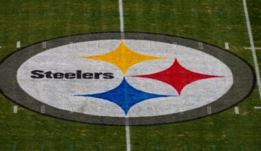 Pittsburgh Steelers Fan Survey: Week 16