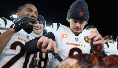 Latest Bengals playoff odds entering Week 14