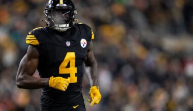 Pittsburgh Steelers WR DK Metcalf slaps Lions fan