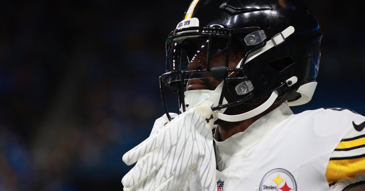 Steelers' DK Metcalf suspended 2 games for altercation with fan during Lions game