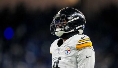 NFL suspends Steelers receiver DK Metcalf for two games after altercation with fan