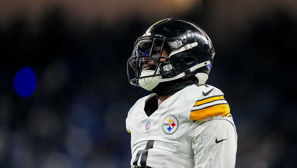 NFL suspends Steelers receiver DK Metcalf for two games after altercation with fan