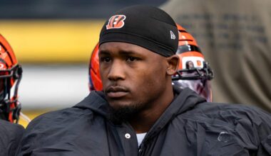 Bengals rule out WR Tee Higgins for Week 15 game vs. Ravens after latest concussion