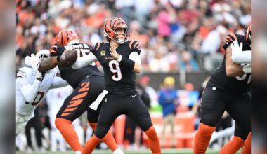 Bengals cruise to easy home win over Cardinals – WHIO TV 7 and WHIO Radio
