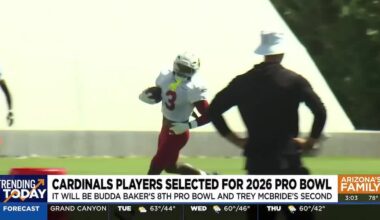 Arizona Cardinals players selected for 2026 Pro Bowl