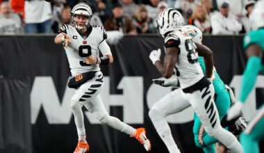 Phinsider Question/Discussion Of The Day: Cincinnati Bengals @ Miami Dolphins Players You Would Steal