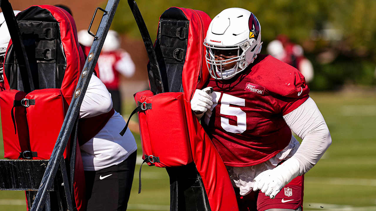 Cardinals Activate Christian Jones, Put Bilal Nichols On IR