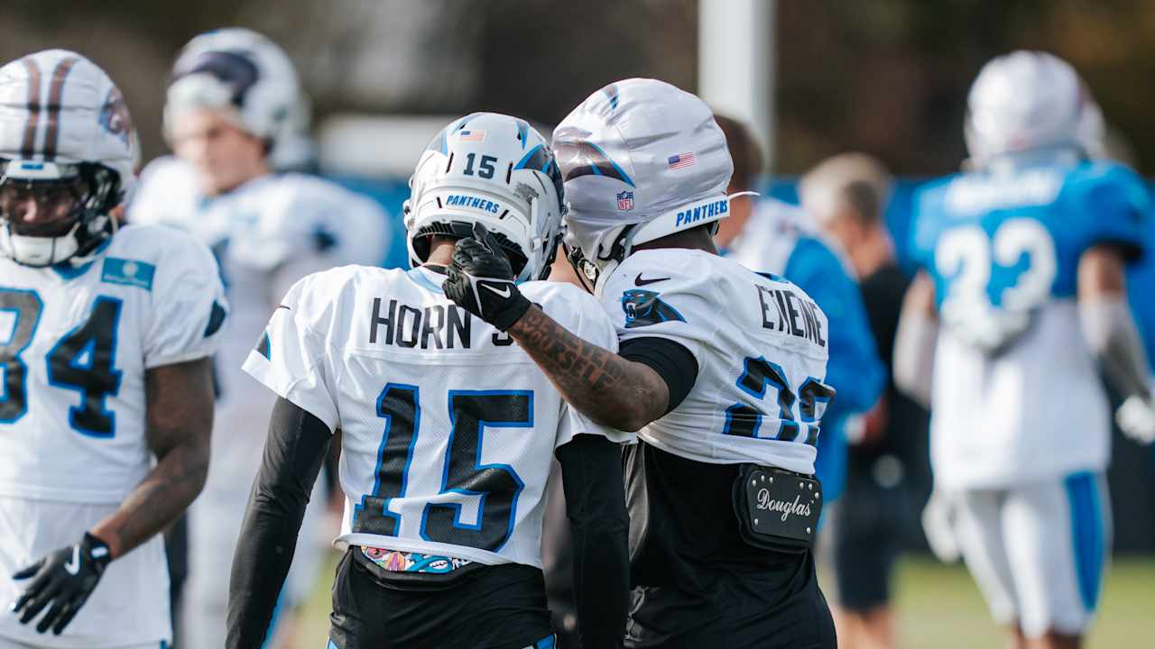Panthers rookies learning how to balance excitement and focus with playoffs in sight