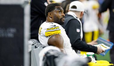 Steelers WR DK Metcalf suspended two games for physically confronting fan in win over Lions