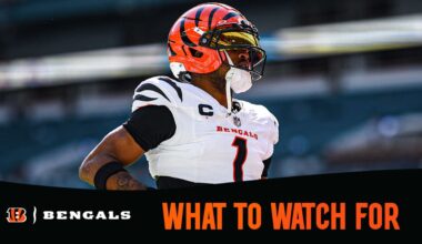 Bengals Cardinals Week 17 Preview What to Watch For