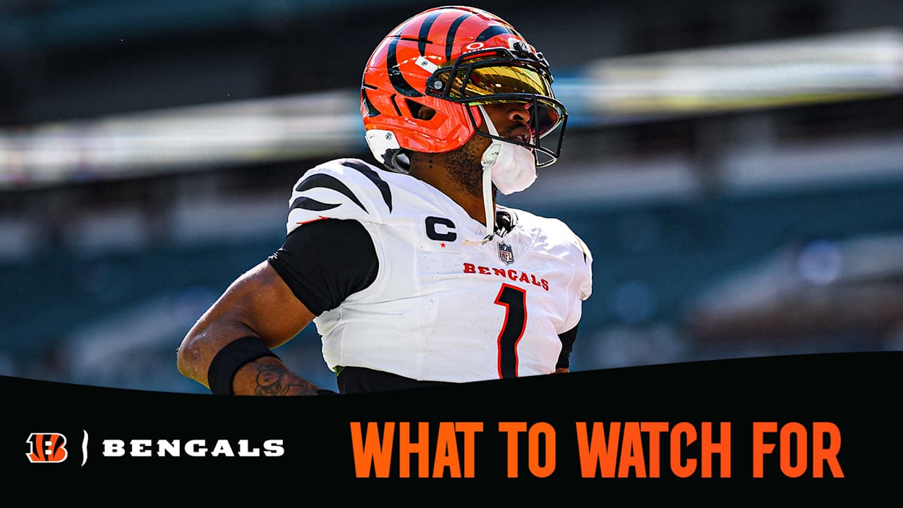 Bengals Cardinals Week 17 Preview What to Watch For