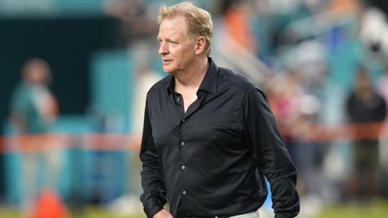 Steelers Roger Goodell