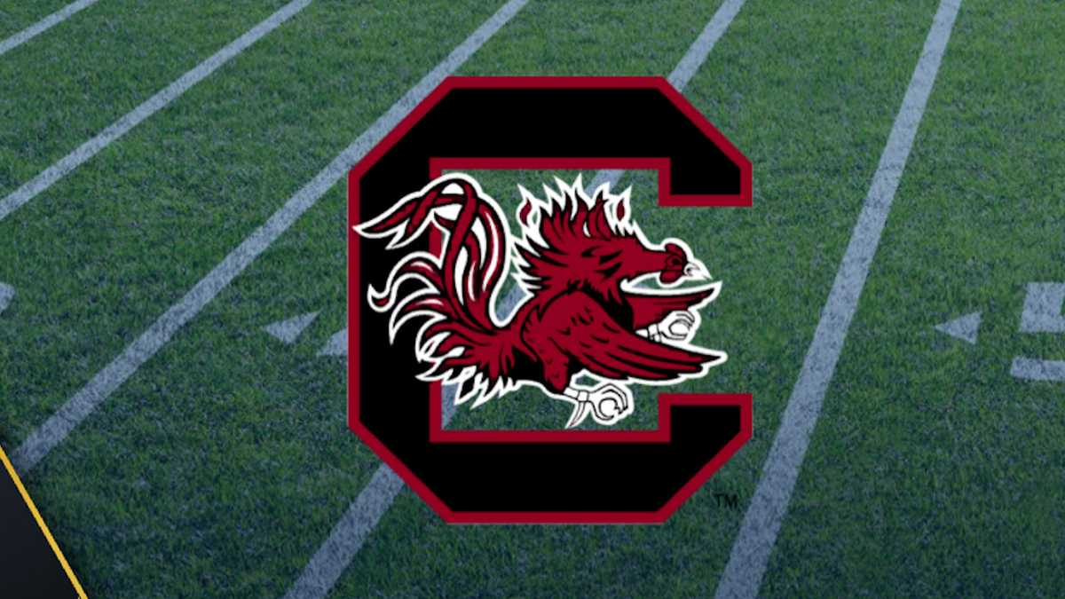 Two South Carolina football players declare for the NFL Draft