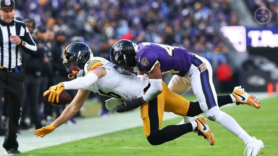 Steelers wide receiver Adam Thielen 