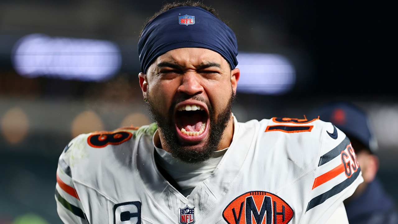 Bears reach new heights, while Lions fall out of top 10