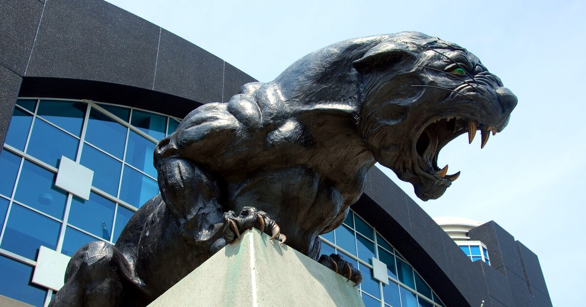 Panthers begin preparation for Saints with division race tightening | WFAE 90.7