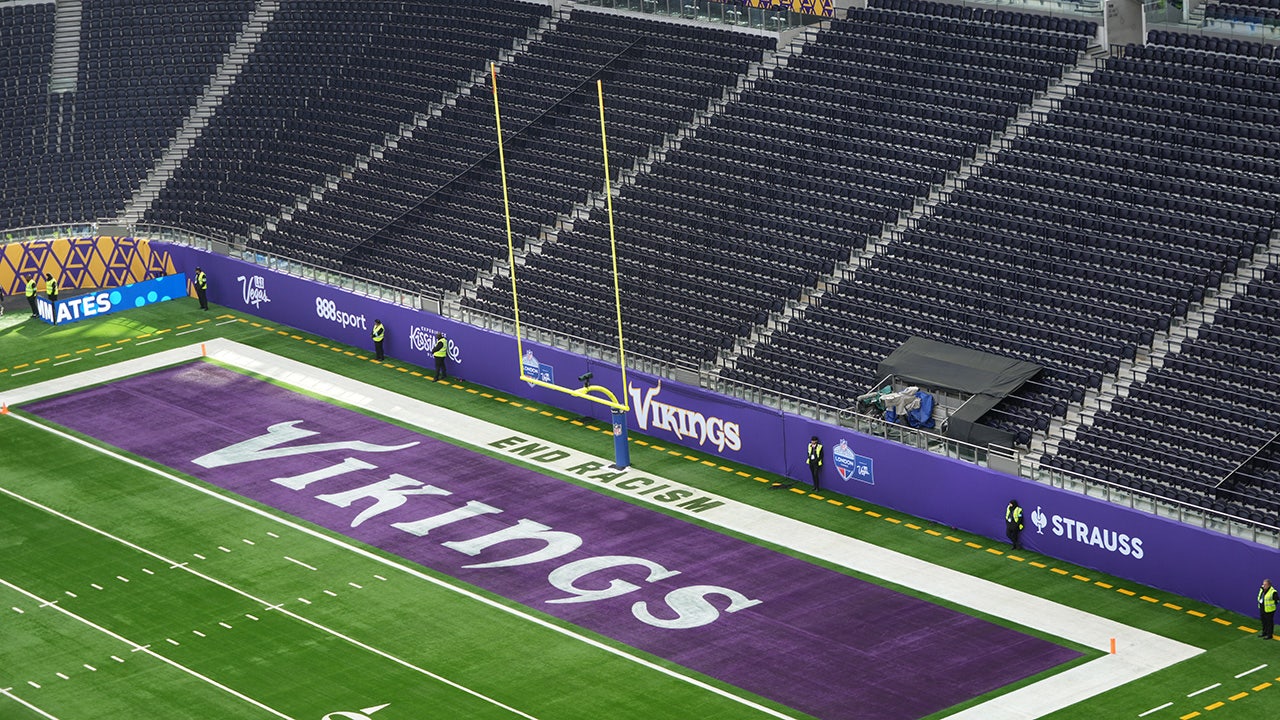 Vikings' team plane forced to turn around with mechanical issue