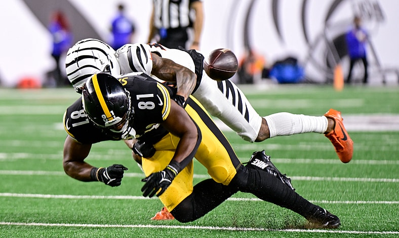 Pittsburgh Steelers TE Jonnu Smith