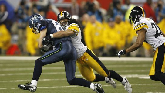 Steelers' Troy Polamalu