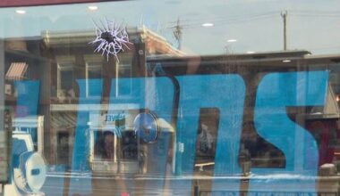 Downtown Rochester bakery unveils Detroit Lions–inspired window display