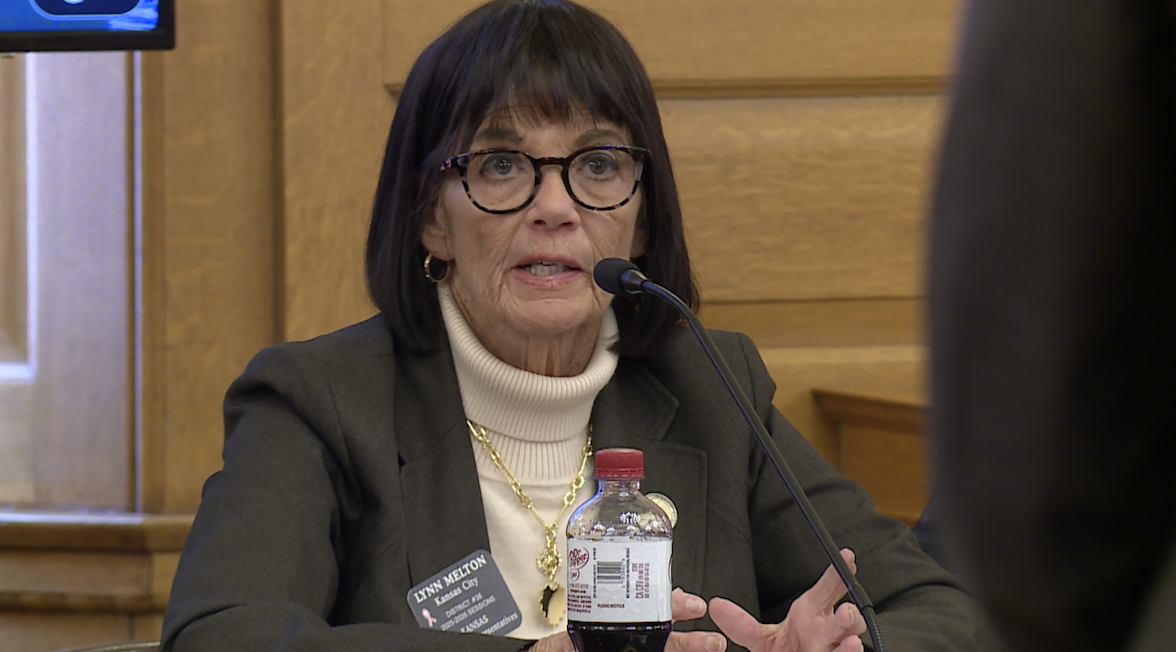 cover photo lynn asking questions.png