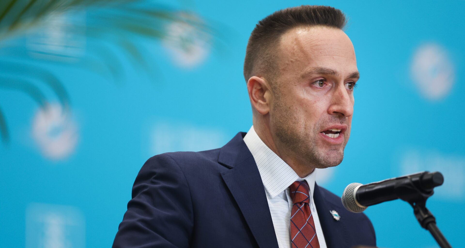 Dolphins Face Criticism for Decision About Team’s Future