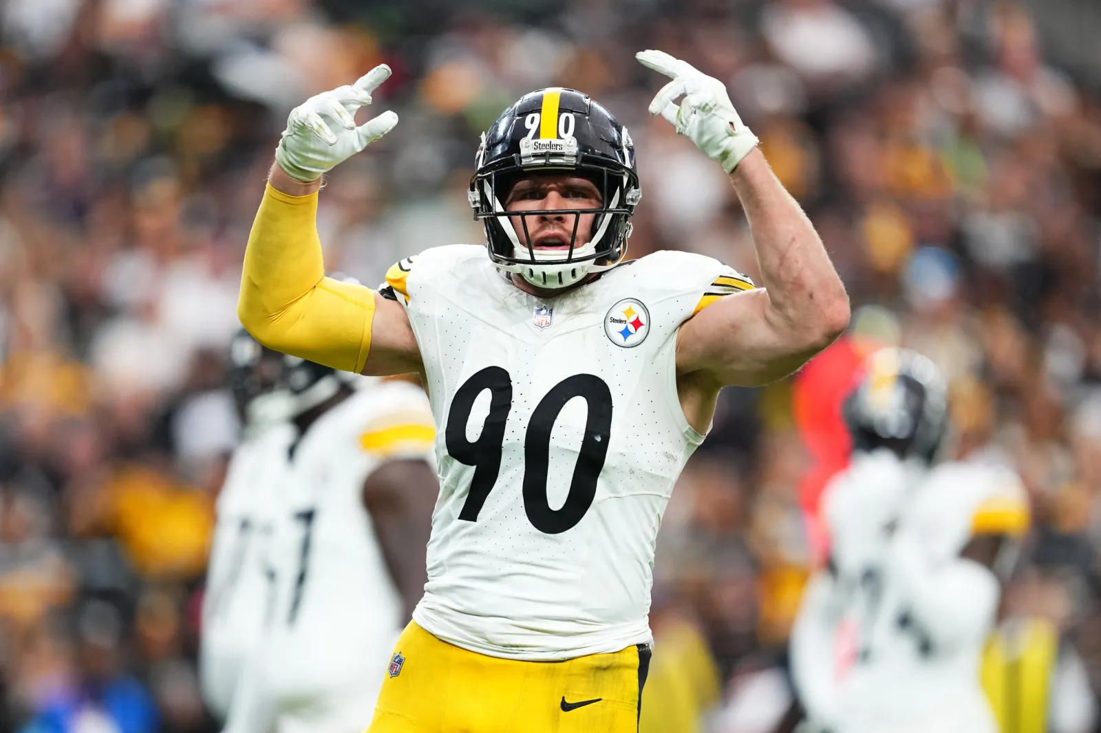 TJ Watt