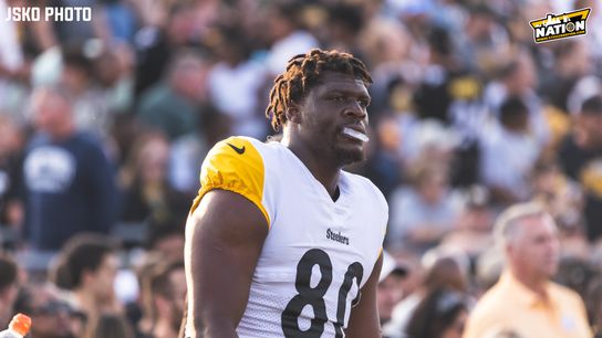 Steelers Darnell Washington 