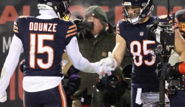 This Bears season changed everything, and I’m grateful for it: Silvy – Shaw Local